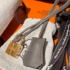 Authentic-New-Hermes-Birkin-30-Etain-Gold-Ghw (13) Authentique et neuf, le sac Birkin 30 Hermès couleur Étain doré avec finitions dorées, en cuir Clémence.