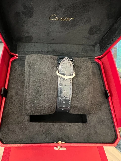 Montre Cartier Santos 31,5 mm WSSA0085 Dumont en acier inoxydable d'occasion