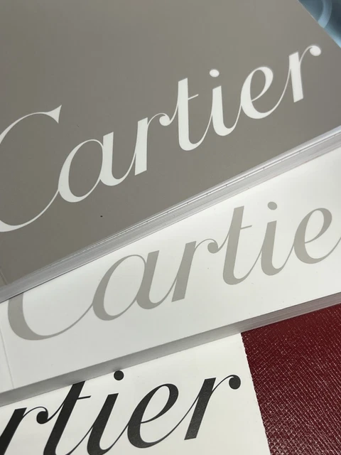 Montre Cartier Santos 100 XL Chronographe Acier Inoxydable pour Homme, avec boîte et papiers W20090X8