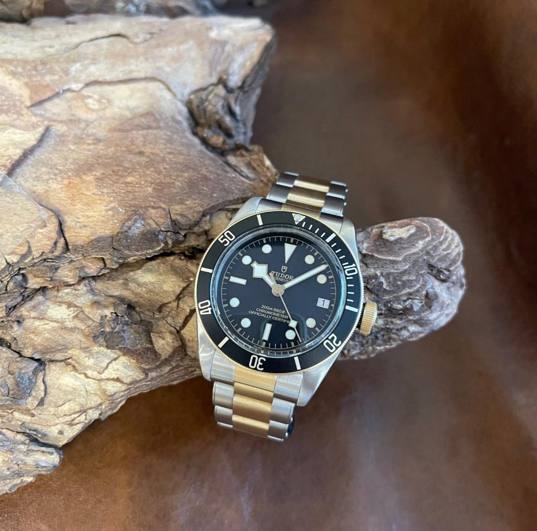 Tudor - Black Bay Acier/Or jaune - Coffret complet 2018 - Réf. 79733N